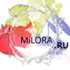    DCC-260 350u -    - Milora.ru, -  , 